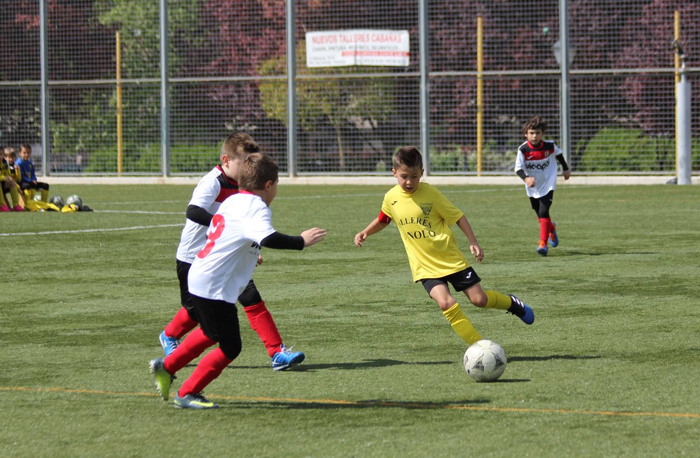 Deporte Base del 29 y 30 de abril. Palencia (2/4)