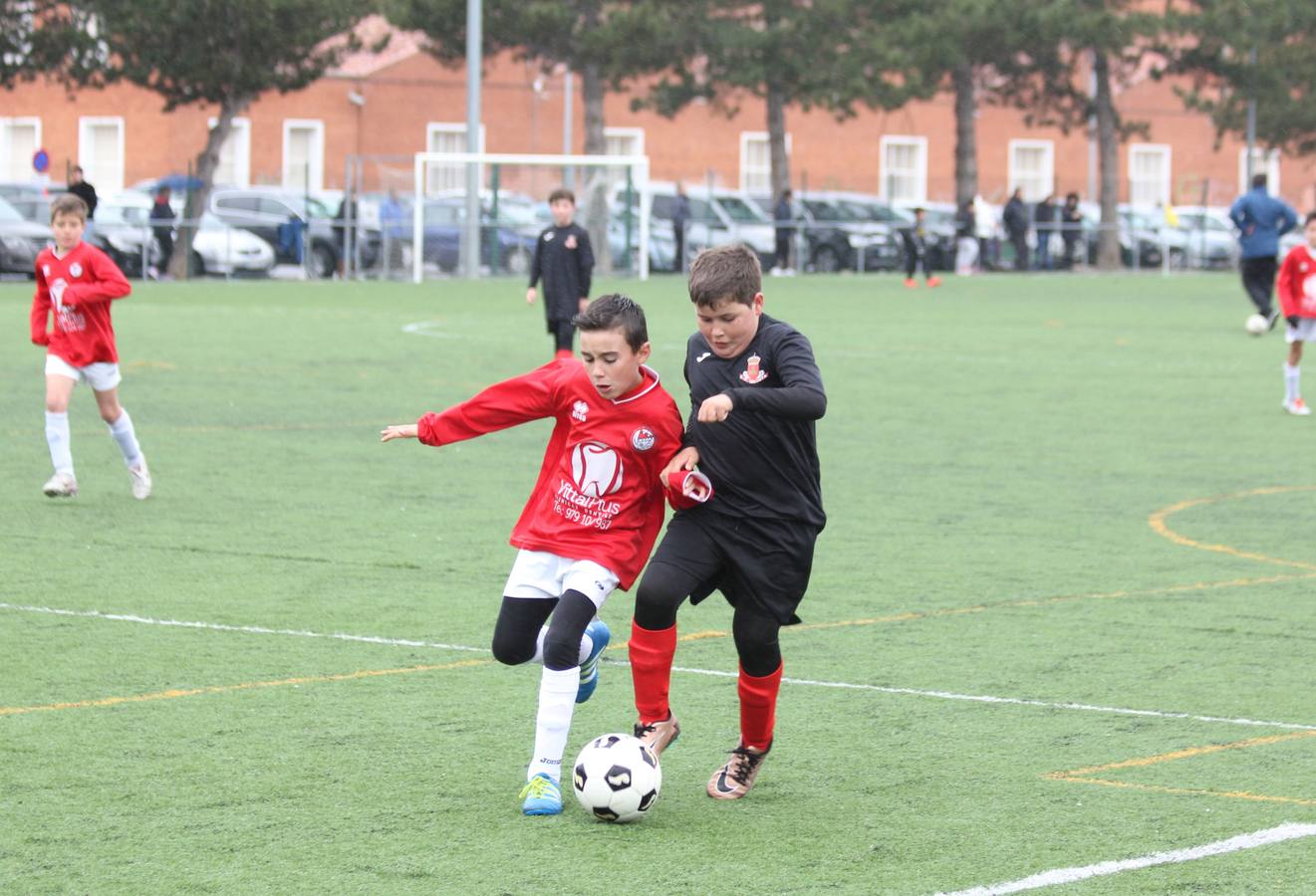 Deporte Base del 29 y 30 de abril. Palencia (3/4)