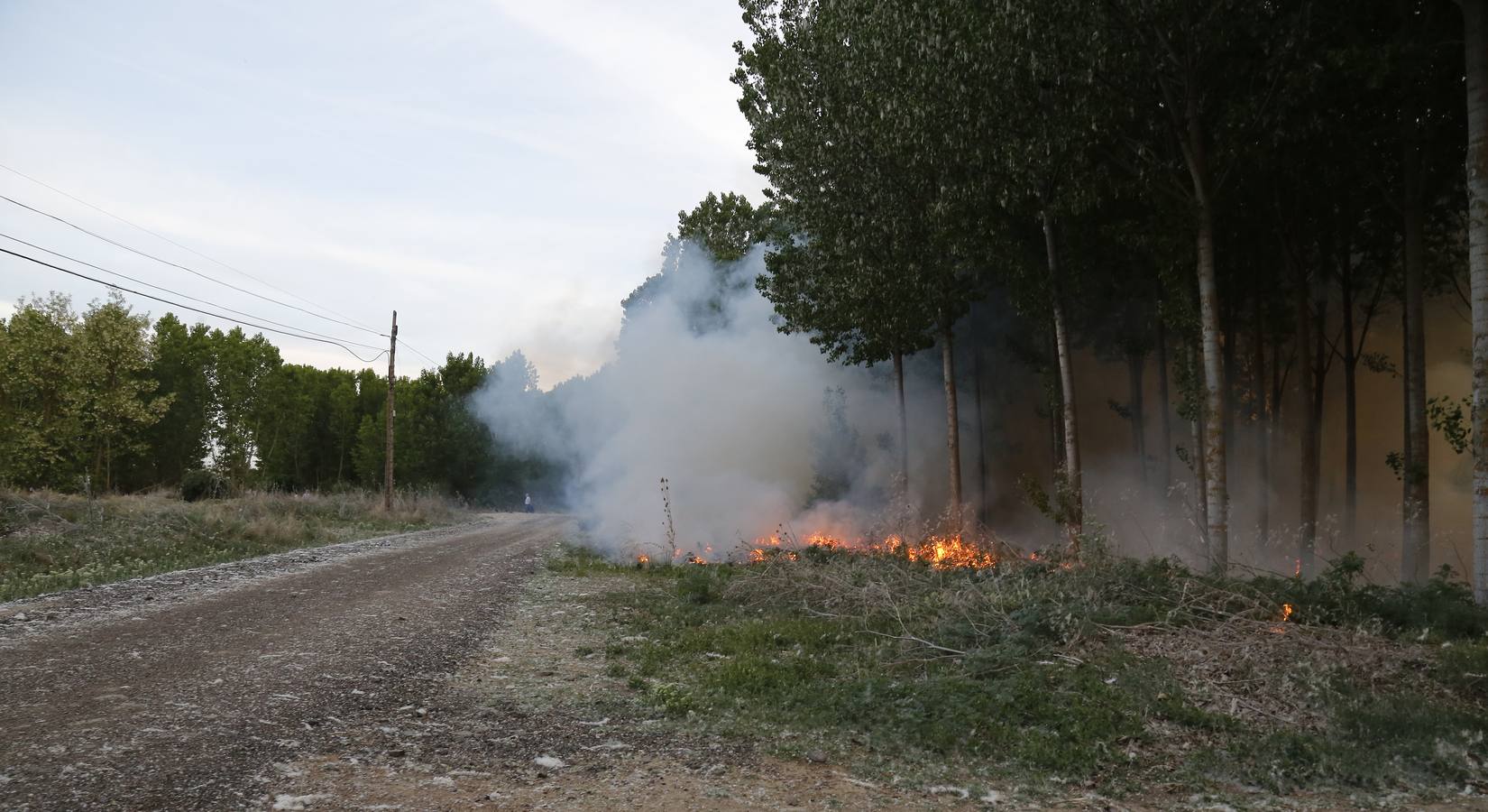 Incendio en la chopera situada junto al puente de Villamuriel de Cerrato (Palencia)