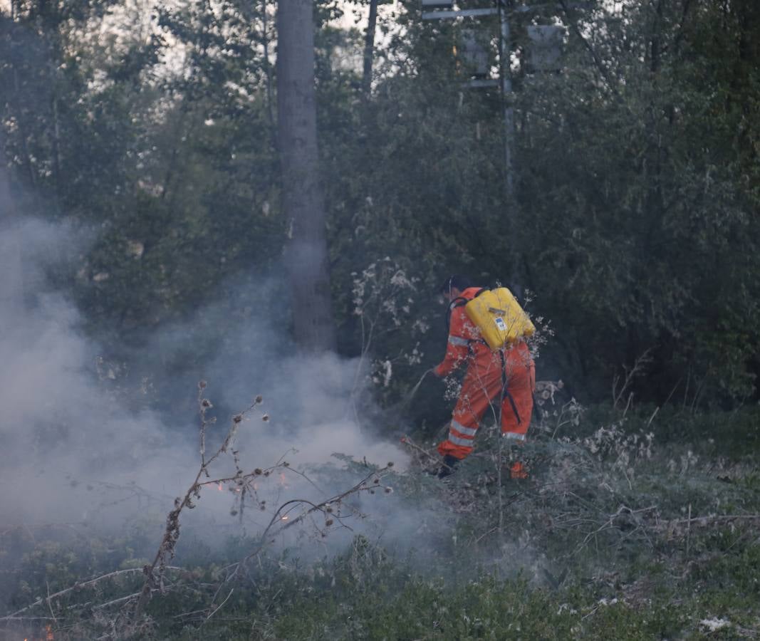 Incendio en la chopera situada junto al puente de Villamuriel de Cerrato (Palencia)