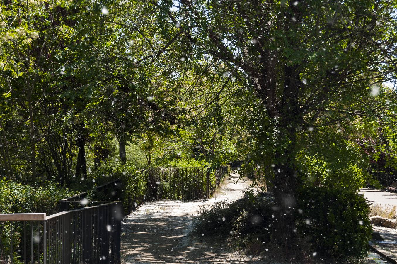 El otro Valladolid XIII: barrio de La Rondilla (1ª parte)