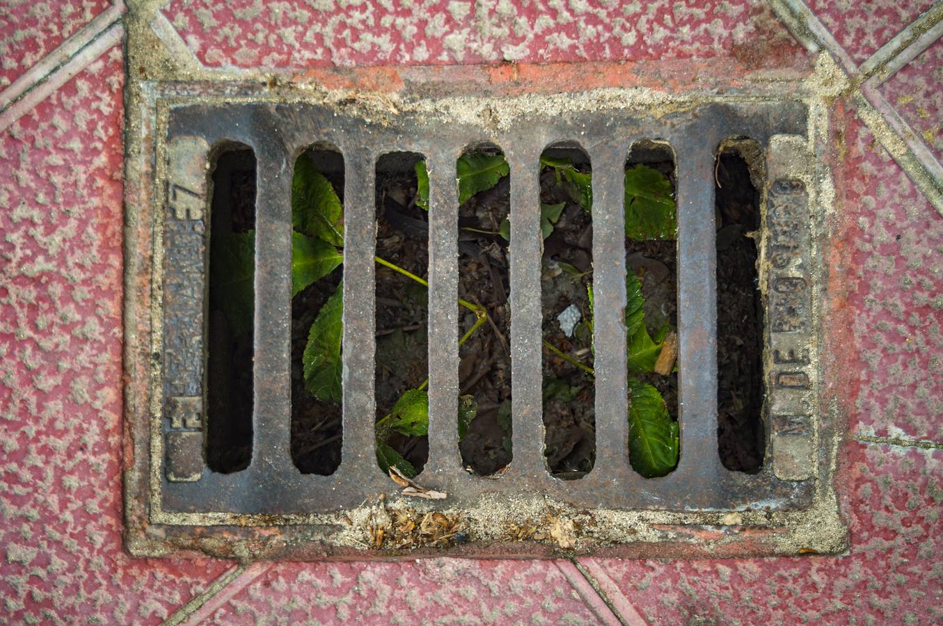 El otro Valladolid XIII: barrio de La Rondilla (1ª parte)