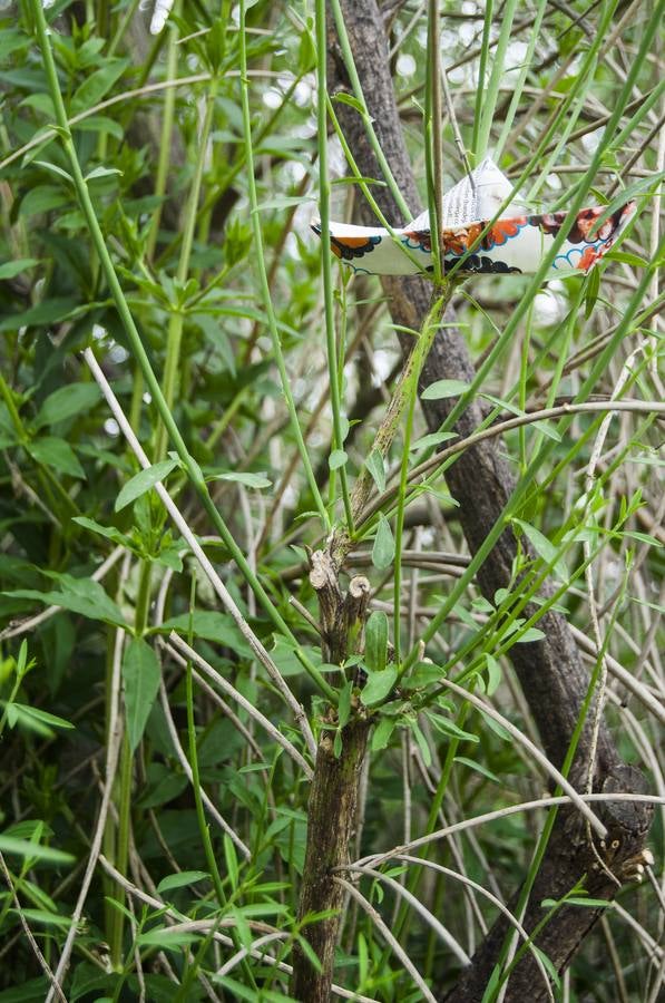 El otro Valladolid XIII: barrio de La Rondilla (1ª parte)
