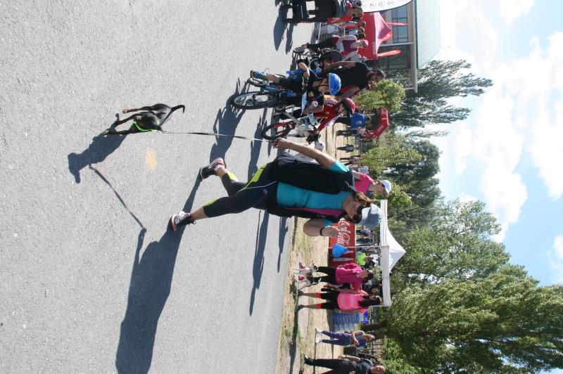 V Carrera Solidaria El Campo en Sanchonuño (2/2)
