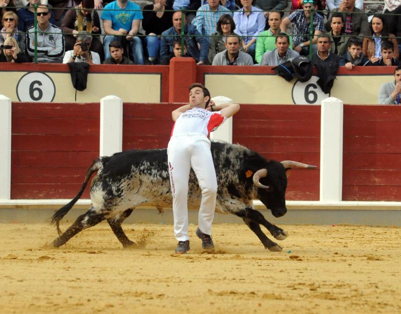 Concurso de Cortes en Valladolid