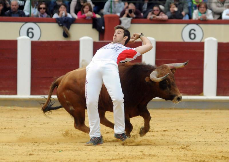Concurso de Cortes en Valladolid