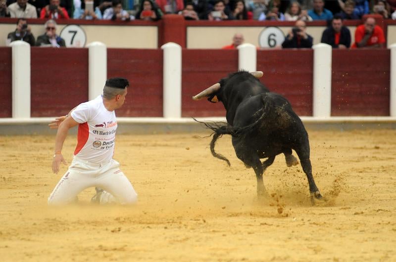 Concurso de Cortes en Valladolid