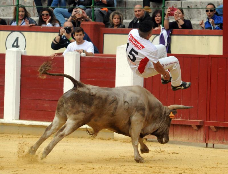 Concurso de Cortes en Valladolid