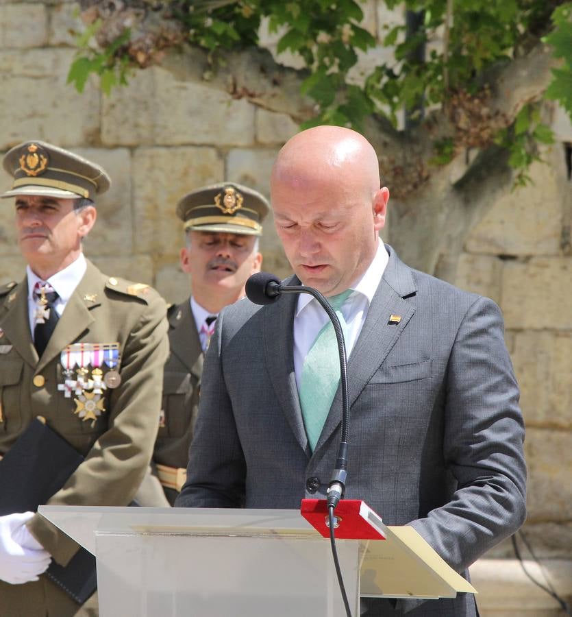 Paredes de Nava rinde honores a las Fuerzas Armadas (1/2)