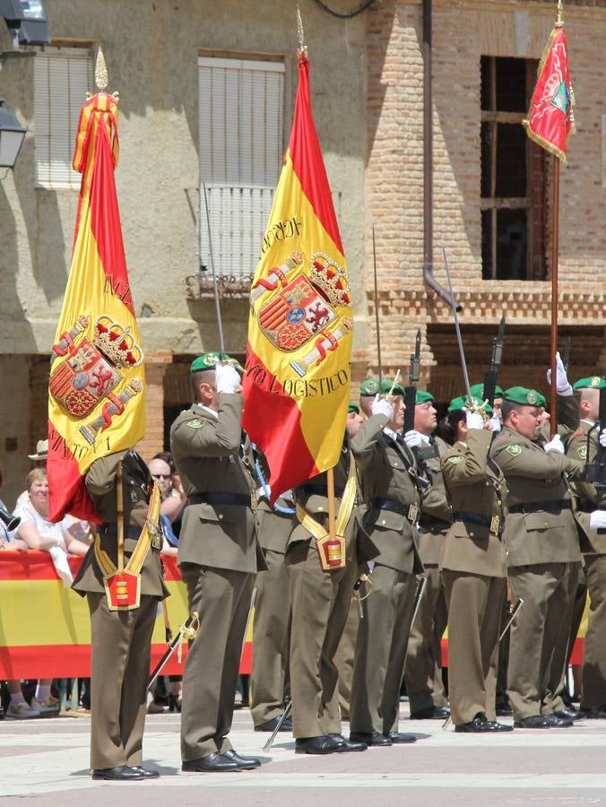 Paredes de Nava rinde honores a las Fuerzas Armadas (1/2)