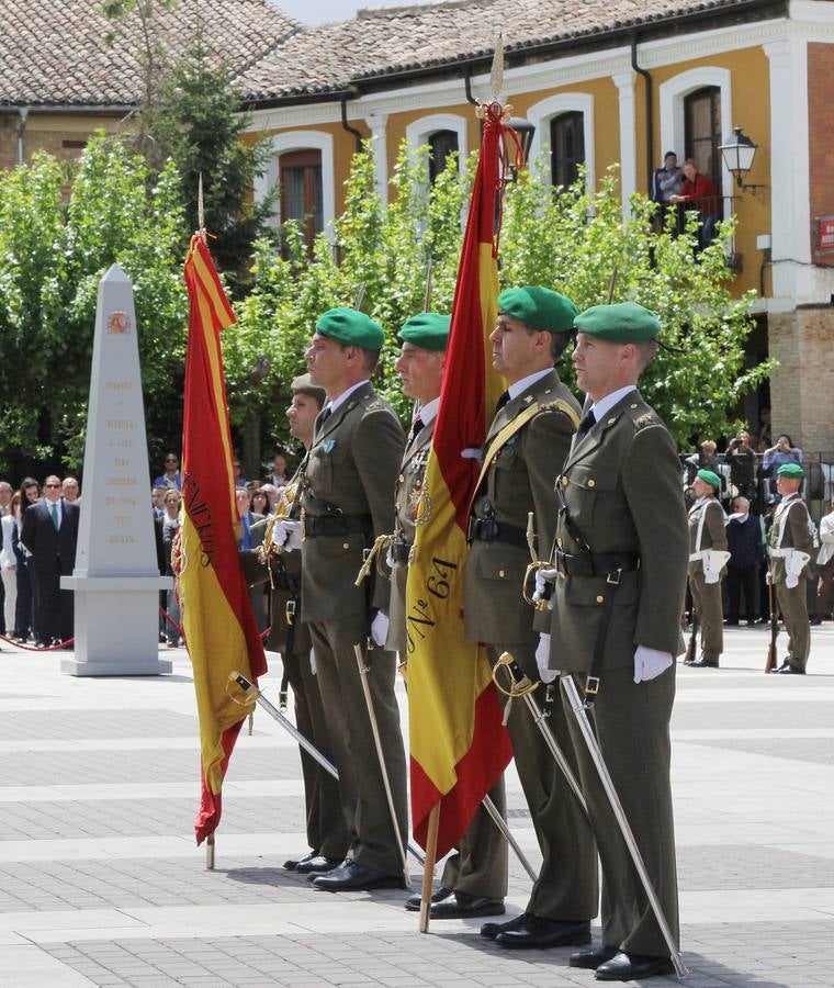 Paredes de Nava rinde honores a las Fuerzas Armadas (1/2)