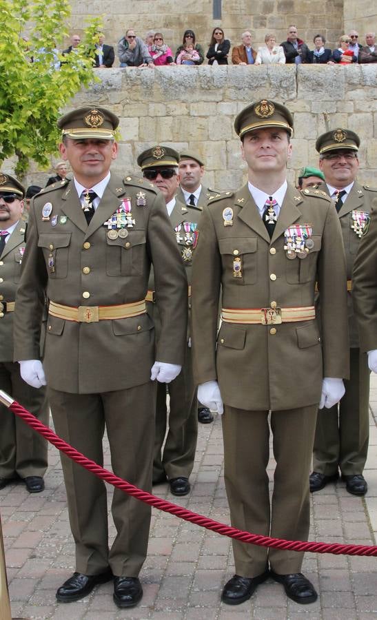 Paredes de Nava rinde honores a las Fuerzas Armadas (1/2)