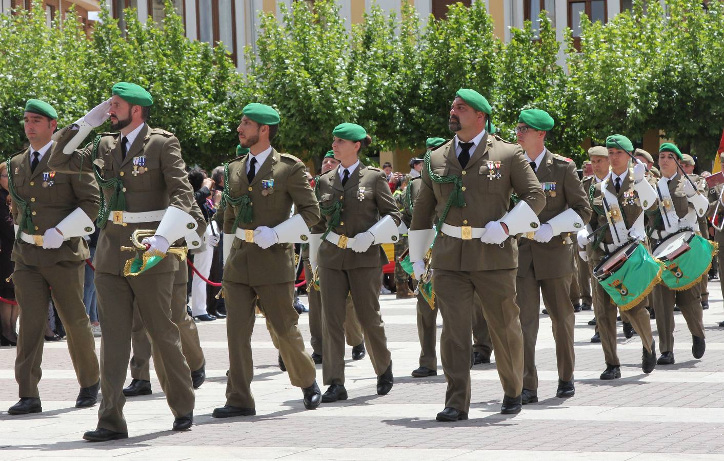 Paredes de Nava rinde honores a las Fuerzas Armadas (1/2)