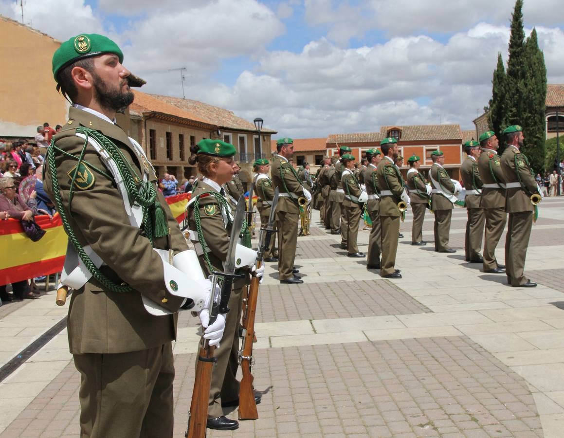 Paredes de Nava rinde honores a las Fuerzas Armadas (1/2)