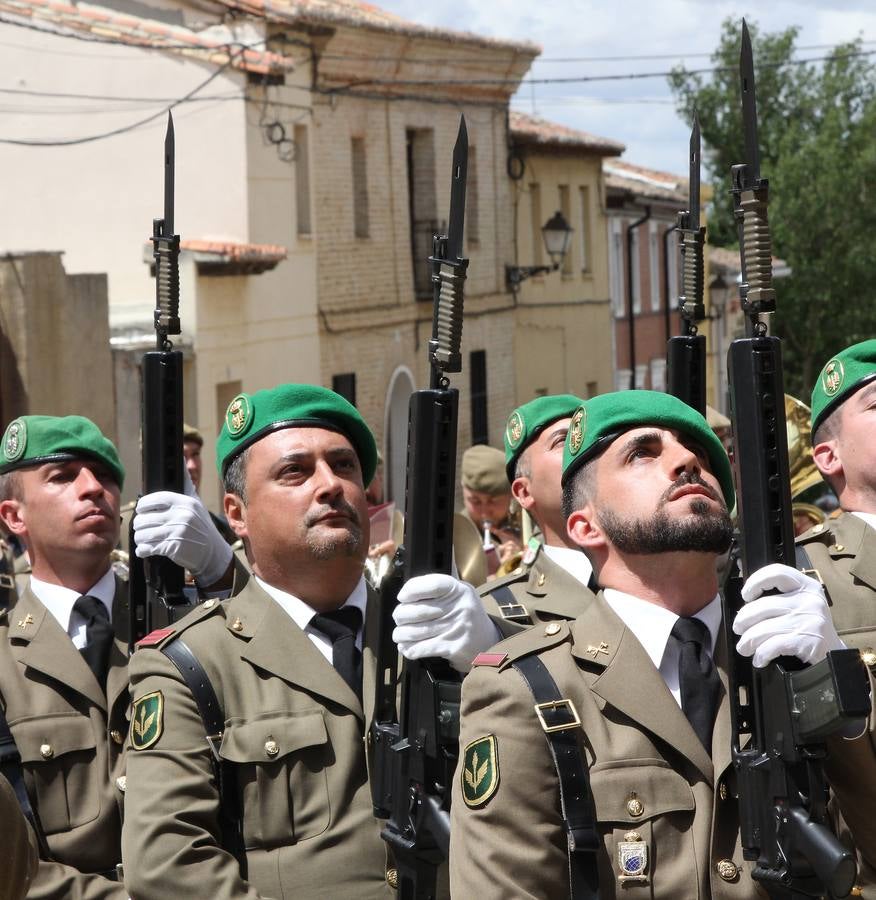 Paredes de Nava rinde honores a las Fuerzas Armadas (1/2)