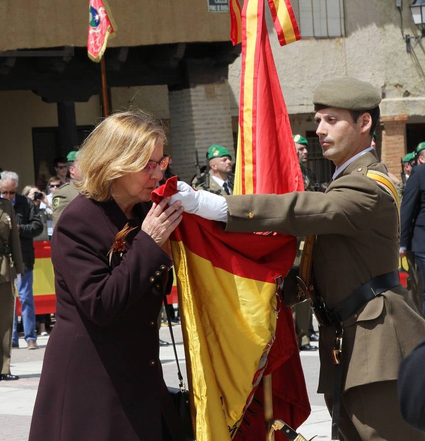 Paredes de Nava rinde honores a las Fuerzas Armadas (2/2)