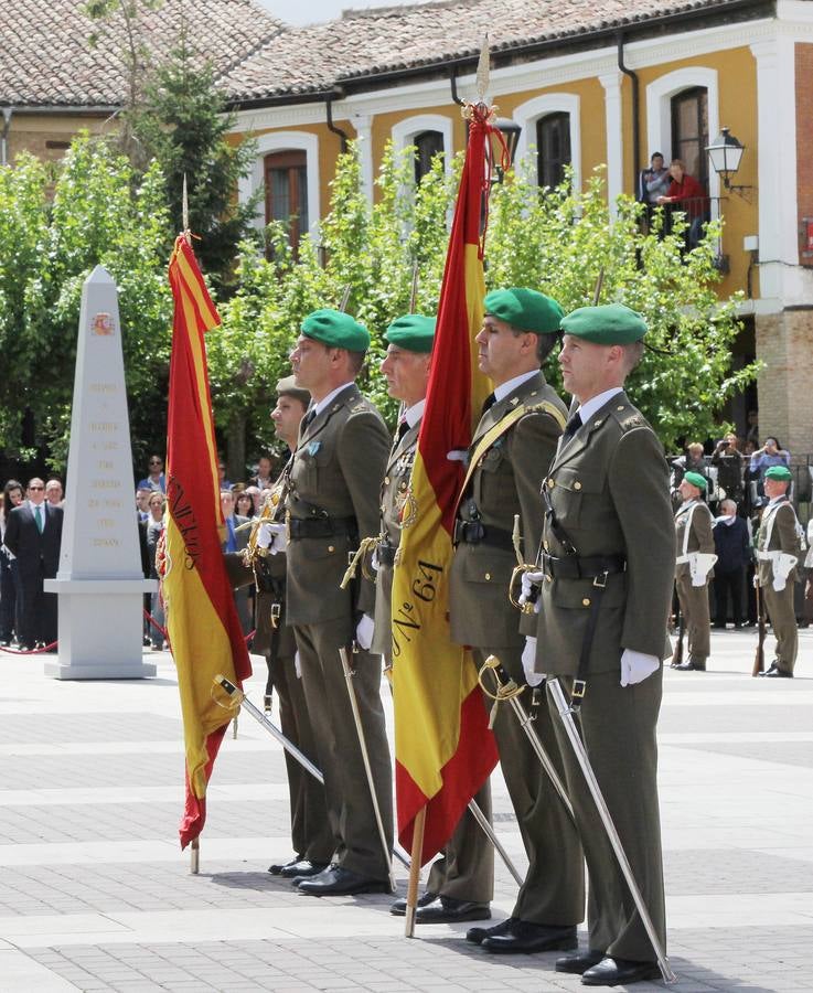 Paredes de Nava rinde honores a las Fuerzas Armadas (2/2)