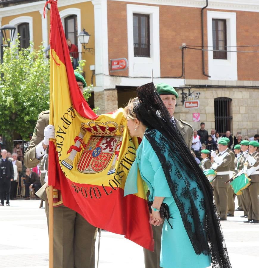 Paredes de Nava rinde honores a las Fuerzas Armadas (2/2)