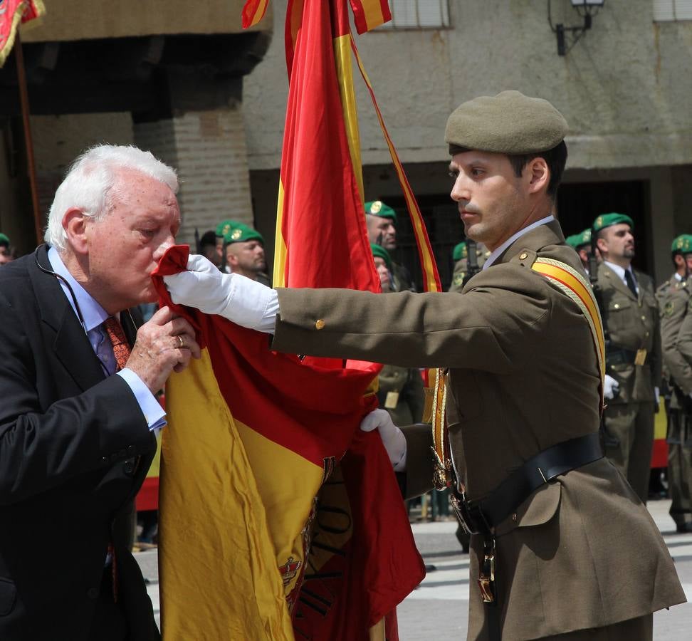 Paredes de Nava rinde honores a las Fuerzas Armadas (2/2)