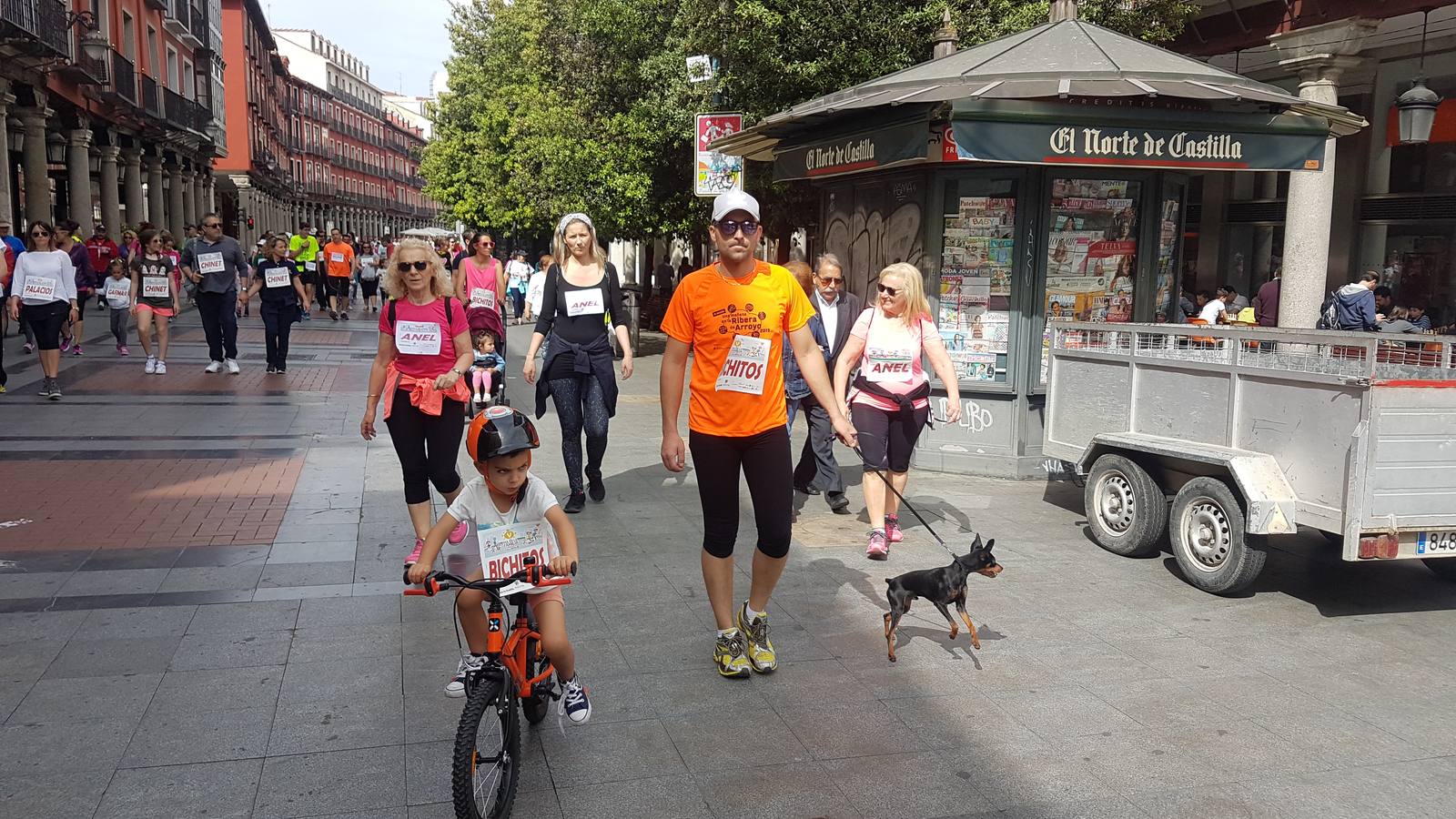 V Marcha de la Familia en Valladolid (4/5)