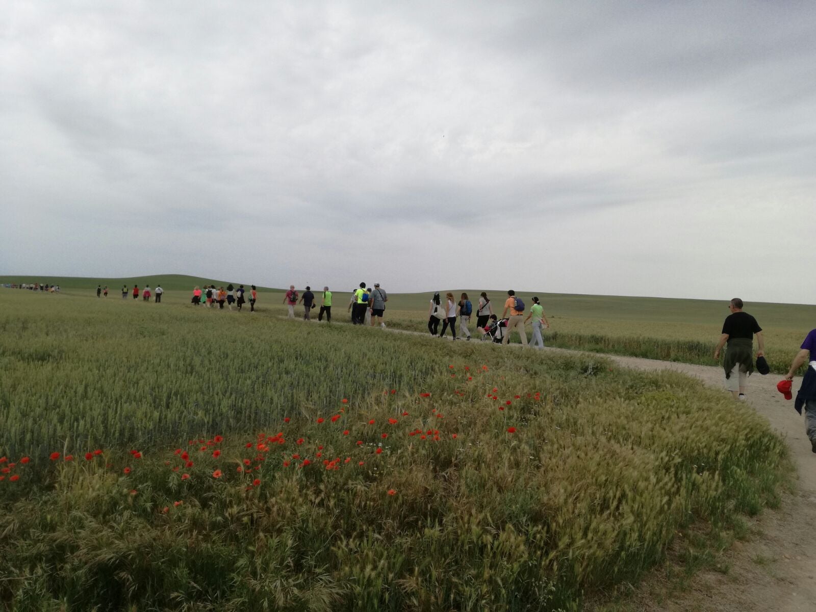 II Marcha solidaria en Mucientes a favor de la ONG Anawin