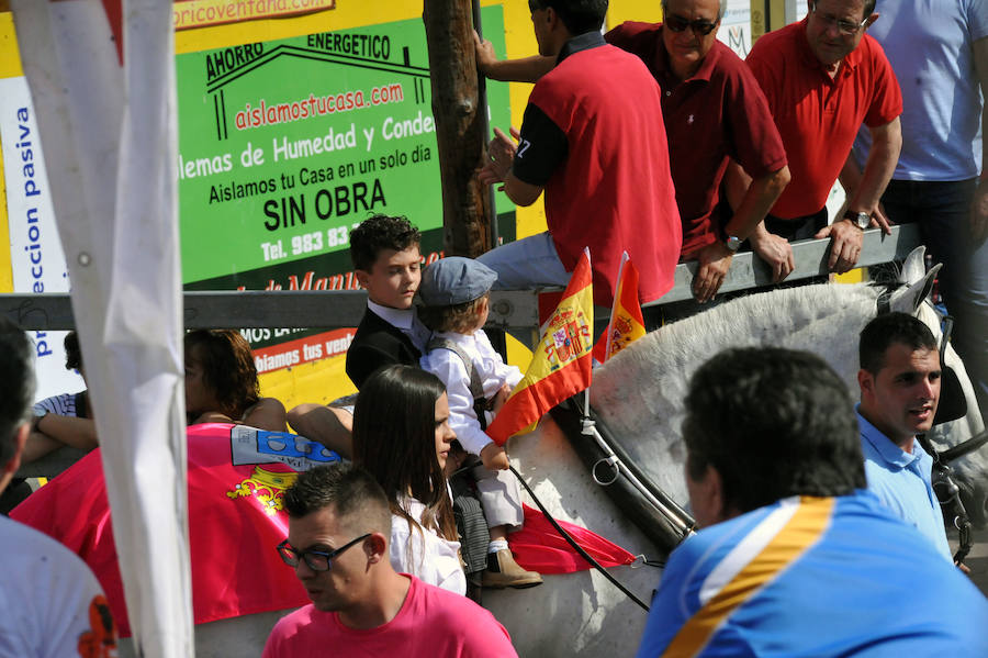 Toro de la Feria de Medina del Campo