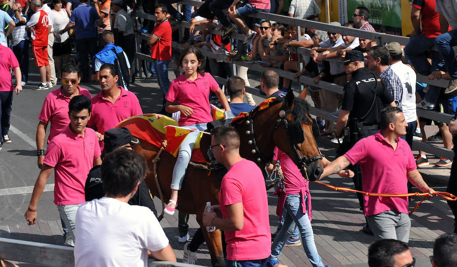 Toro de la Feria de Medina del Campo