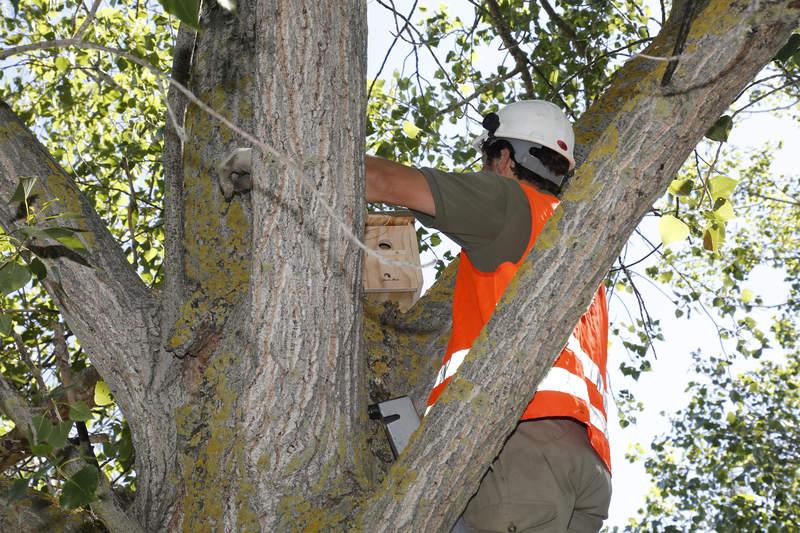 Día del Medio Ambiente en Palencia