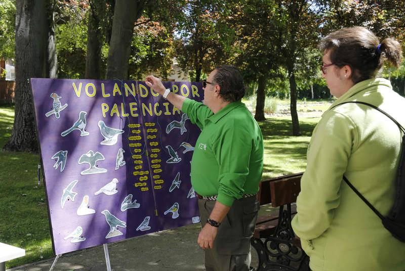 Día del Medio Ambiente en Palencia