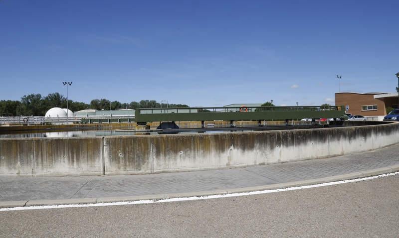 Día del Medio Ambiente en Palencia