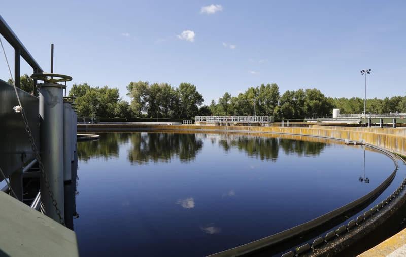 Día del Medio Ambiente en Palencia
