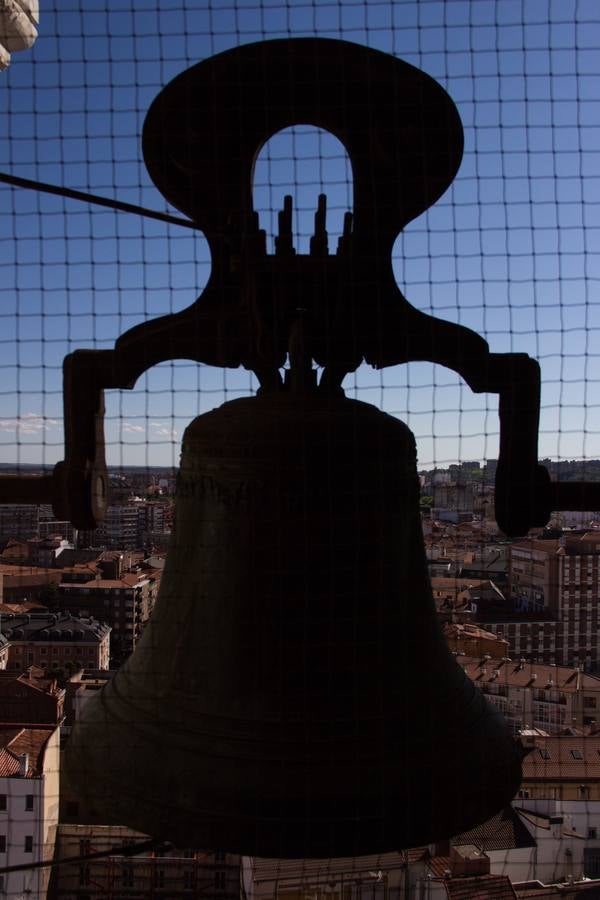 Visita a la torre de la Catedral de día