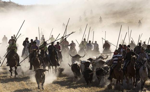 Caballistas en un encierro en Cuéllar. 