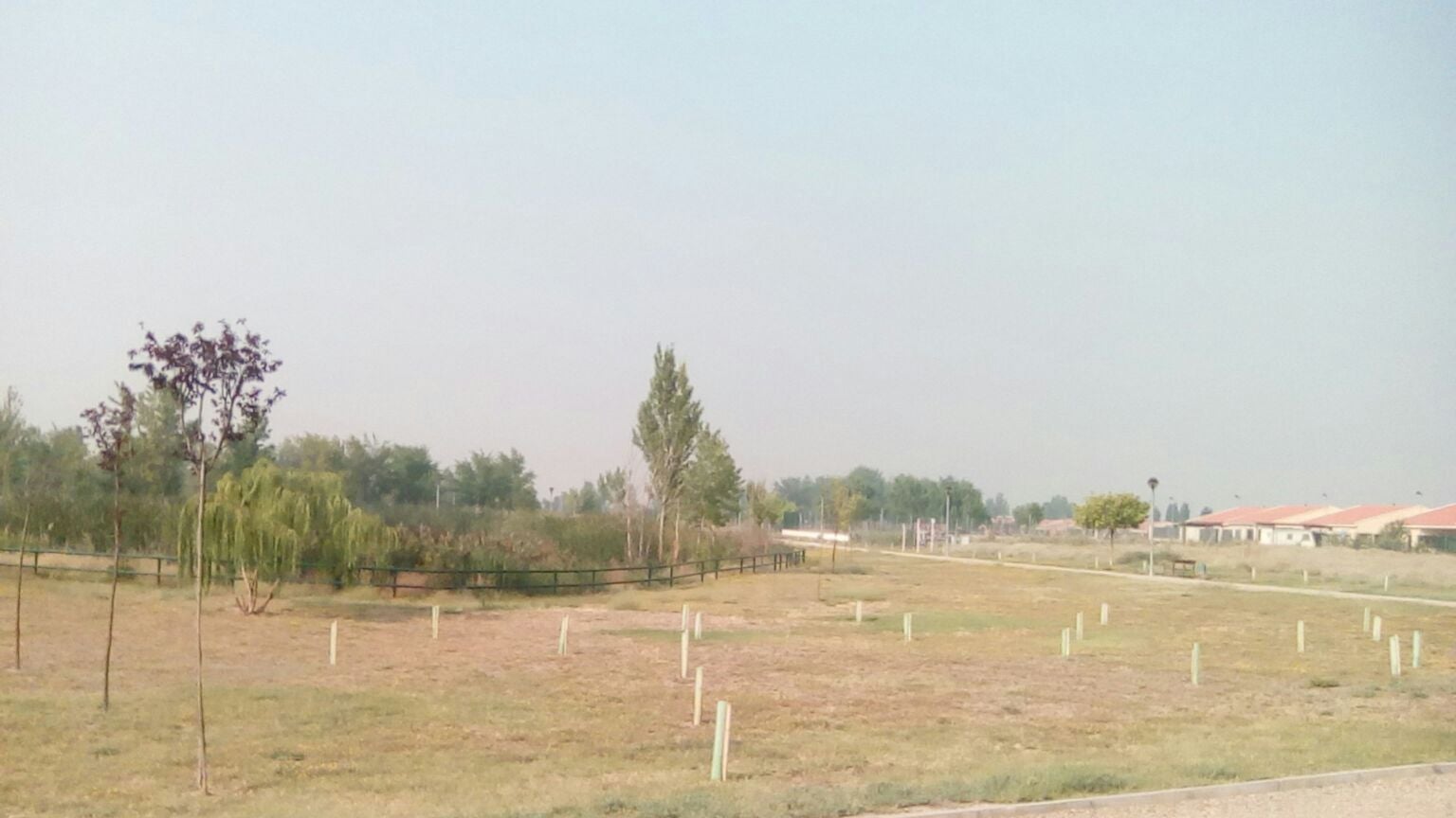 Imágenes del humo en Castilla y León por el incendio de Orense