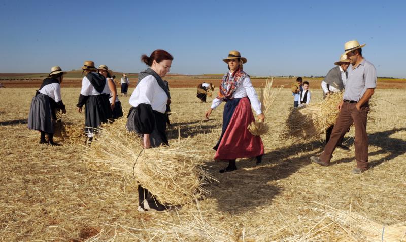 Recreación de la fiesta de la siega