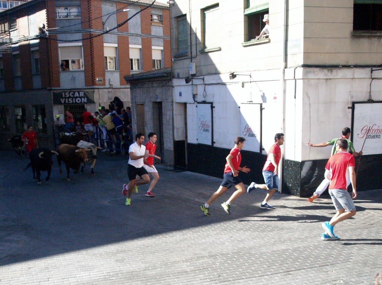 Encierro matinal del domingo en Íscar
