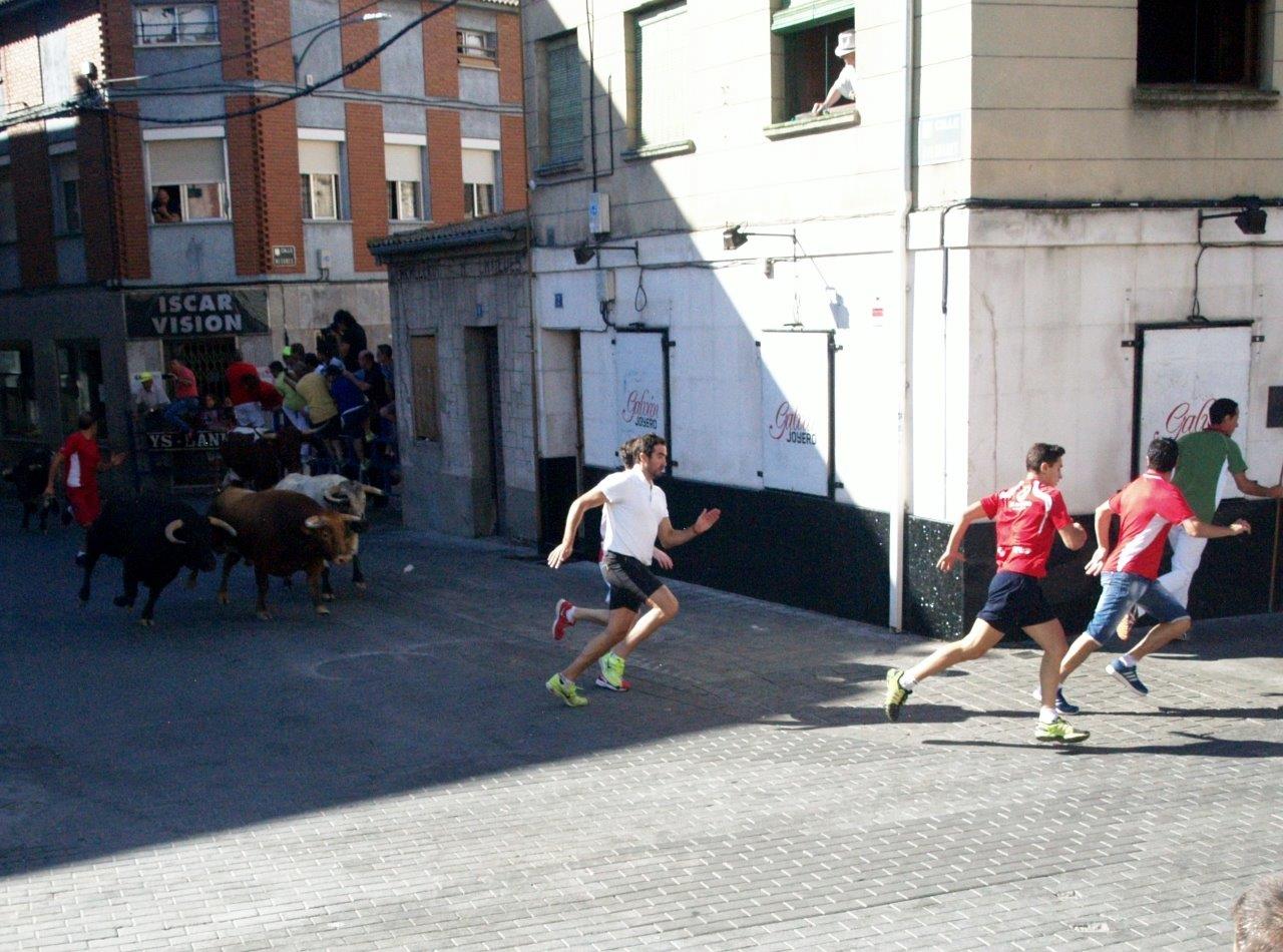 Encierro matinal del domingo en Íscar