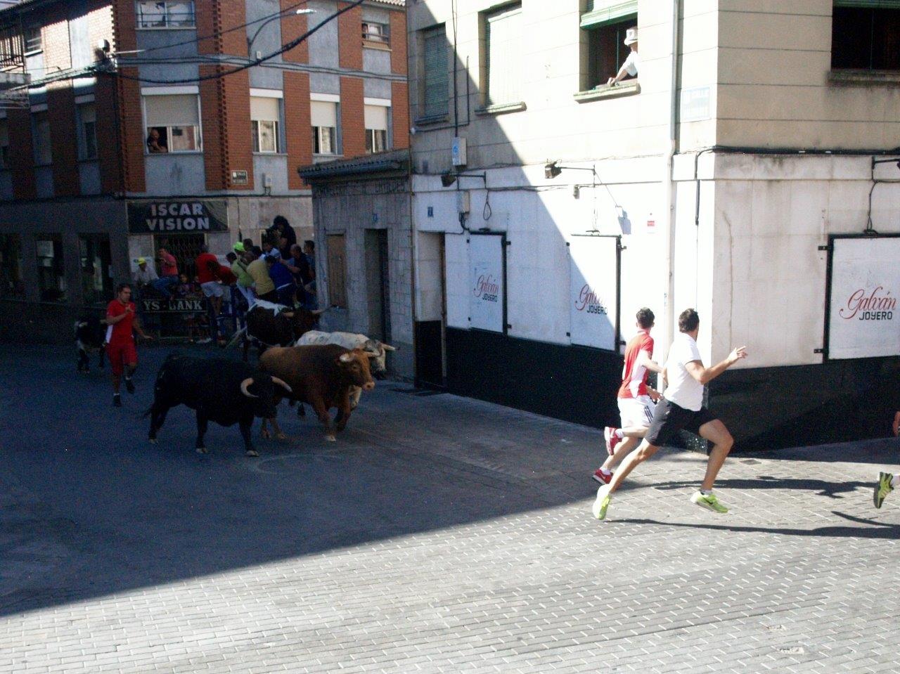 Encierro matinal del domingo en Íscar