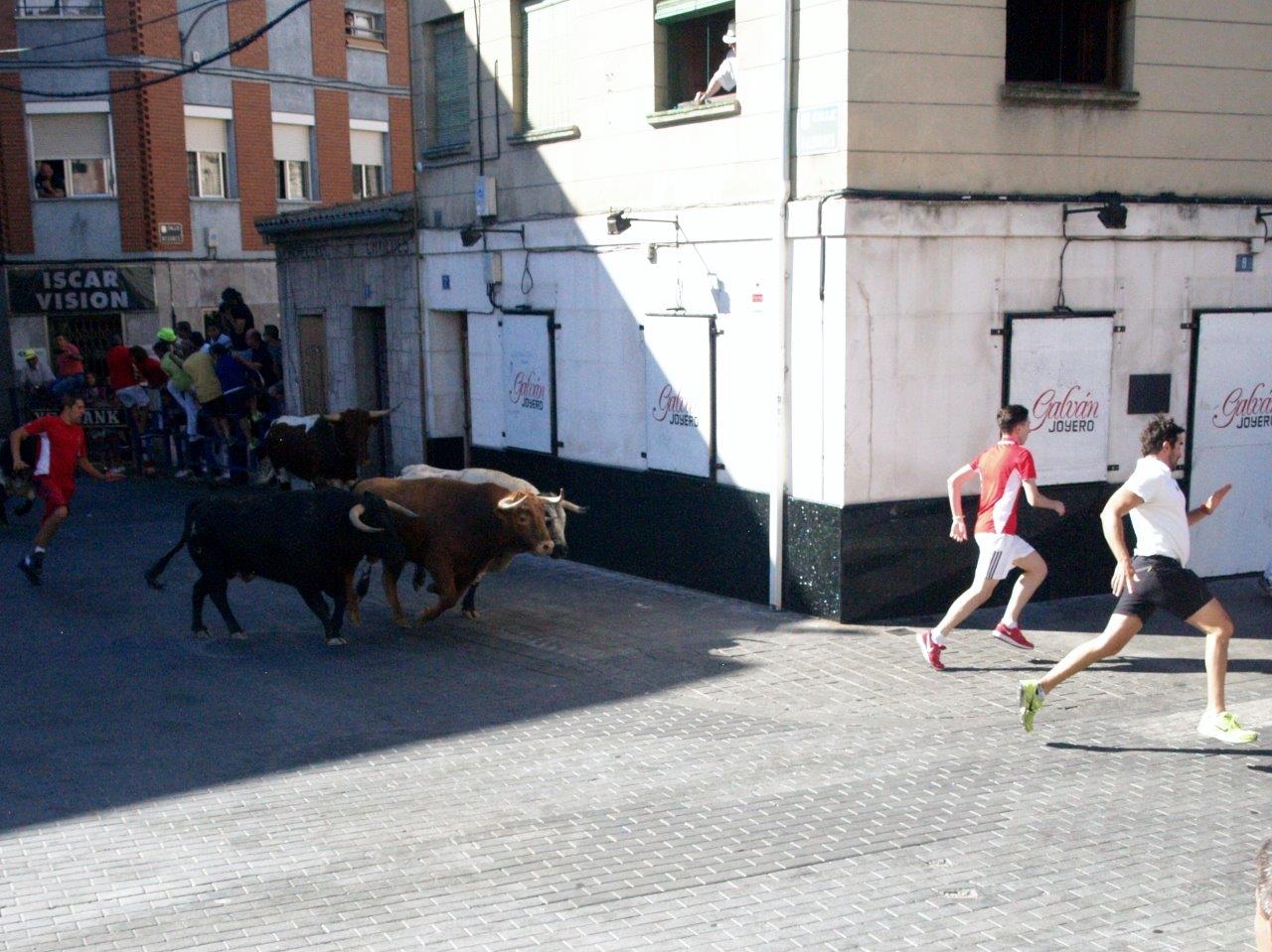 Encierro matinal del domingo en Íscar