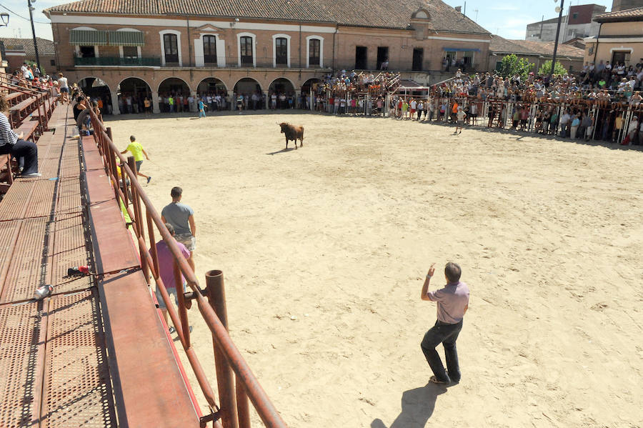 Encierro matinal del lunes en La Seca