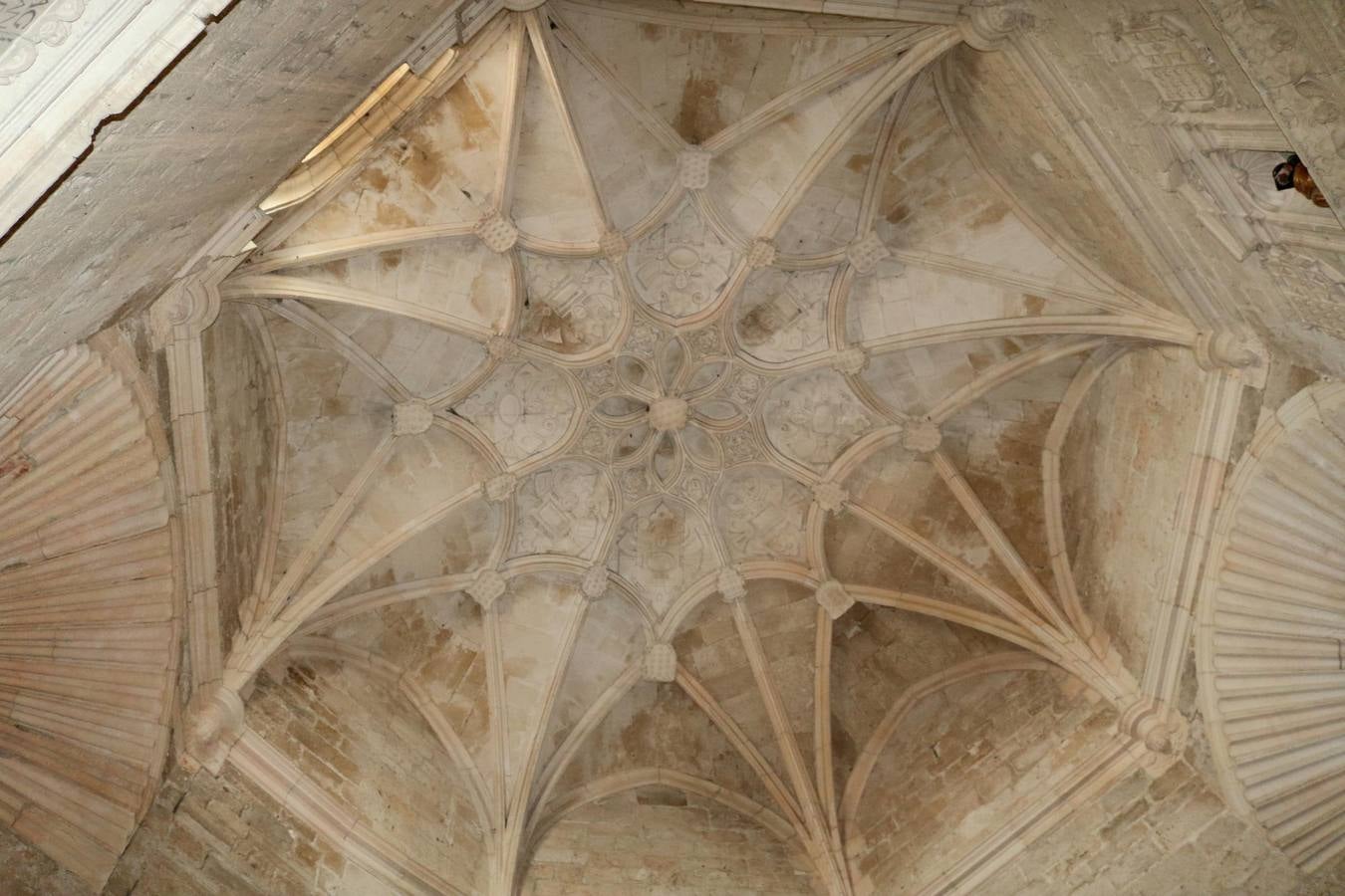 Los tesoros de Palenzuela