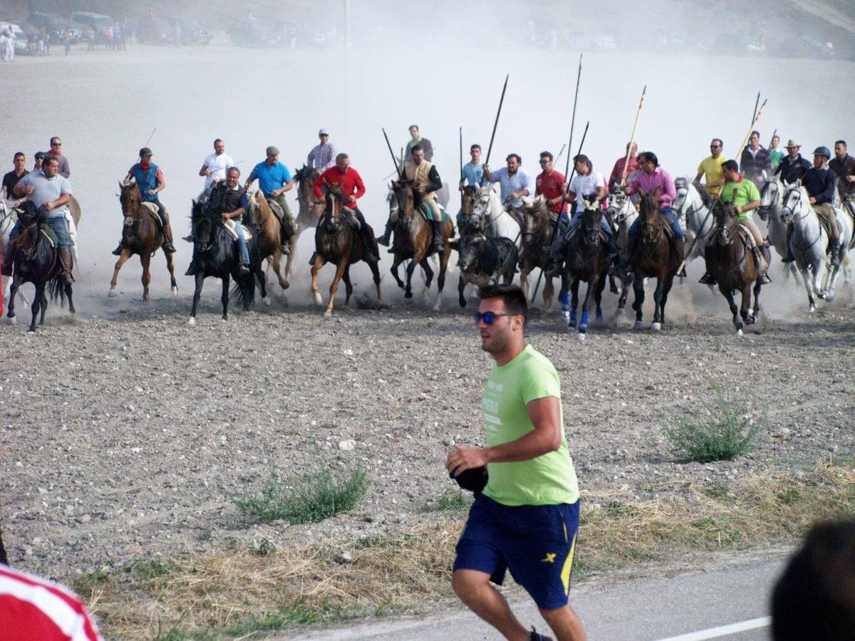 Segundo encierro campero de Íscar
