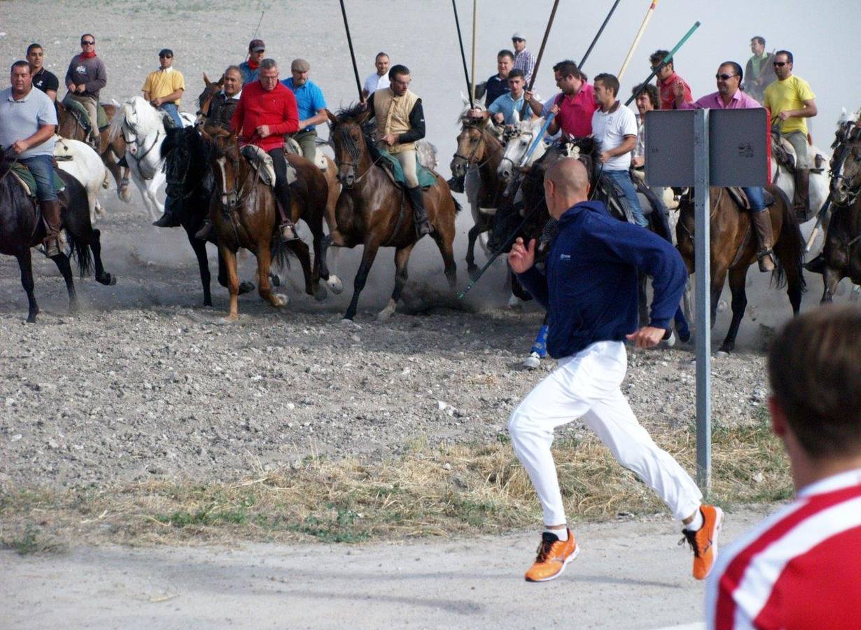 Segundo encierro campero de Íscar