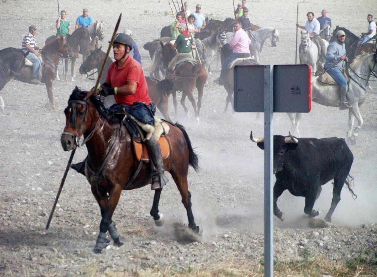 Segundo encierro campero de Íscar