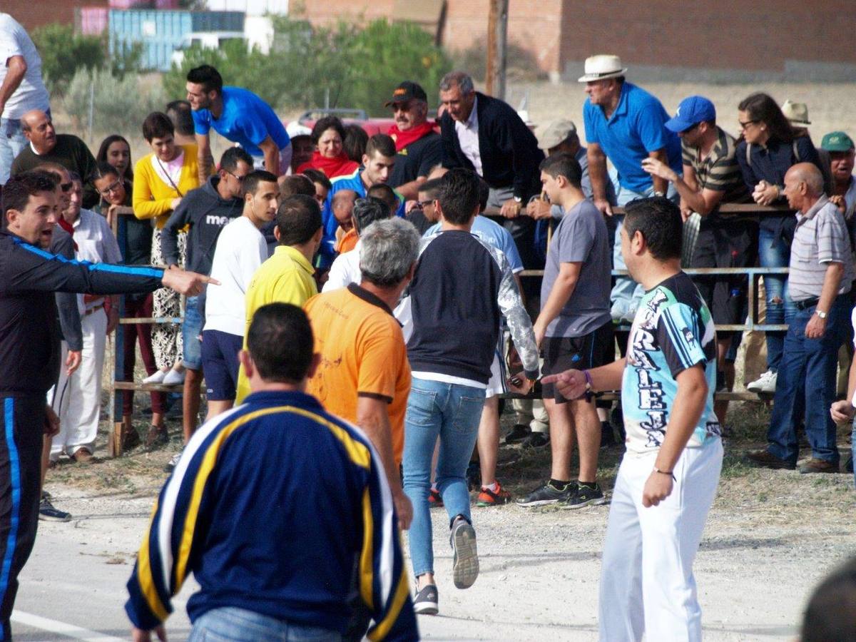 Segundo encierro campero de Íscar