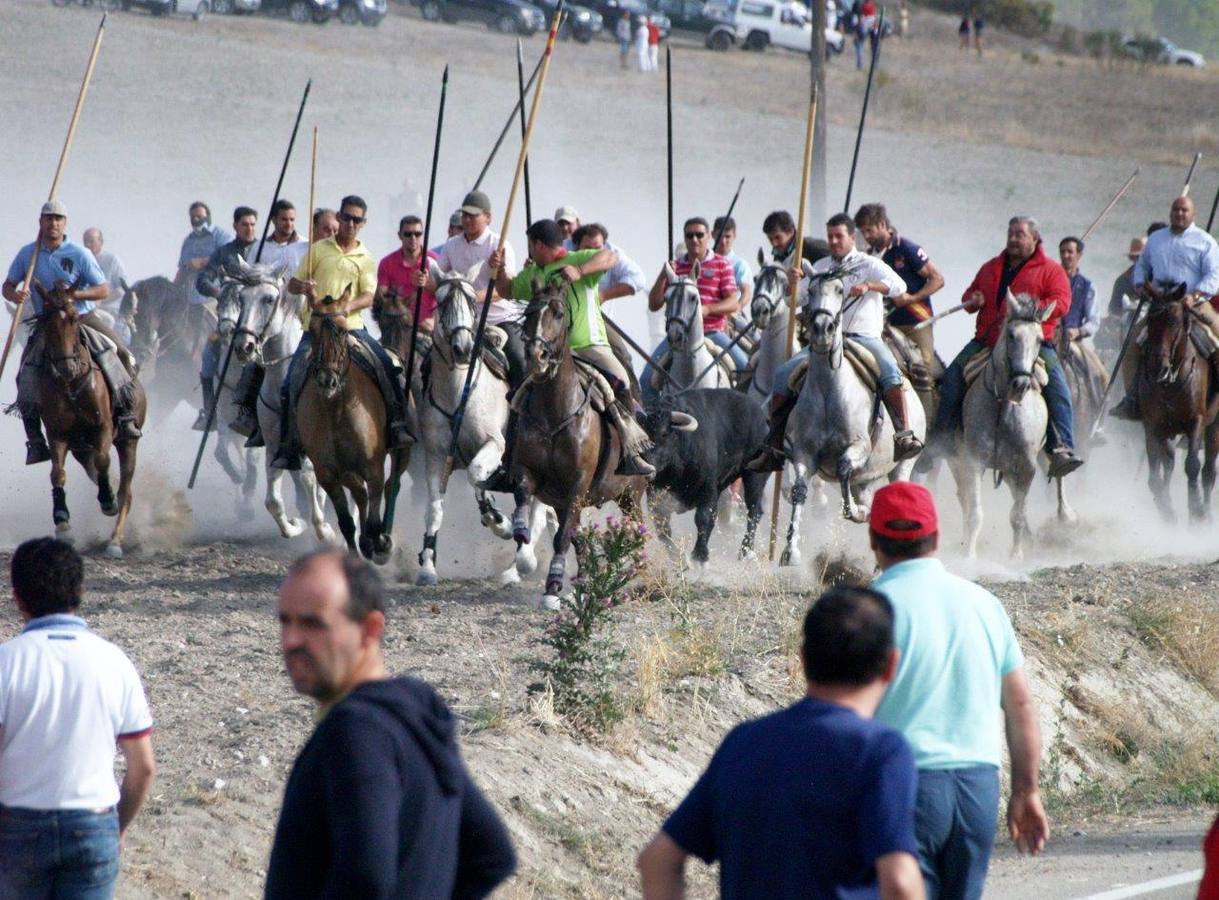 Segundo encierro campero de Íscar