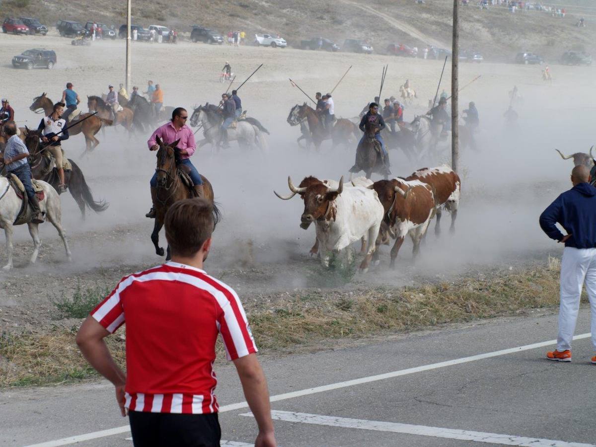 Segundo encierro campero de Íscar
