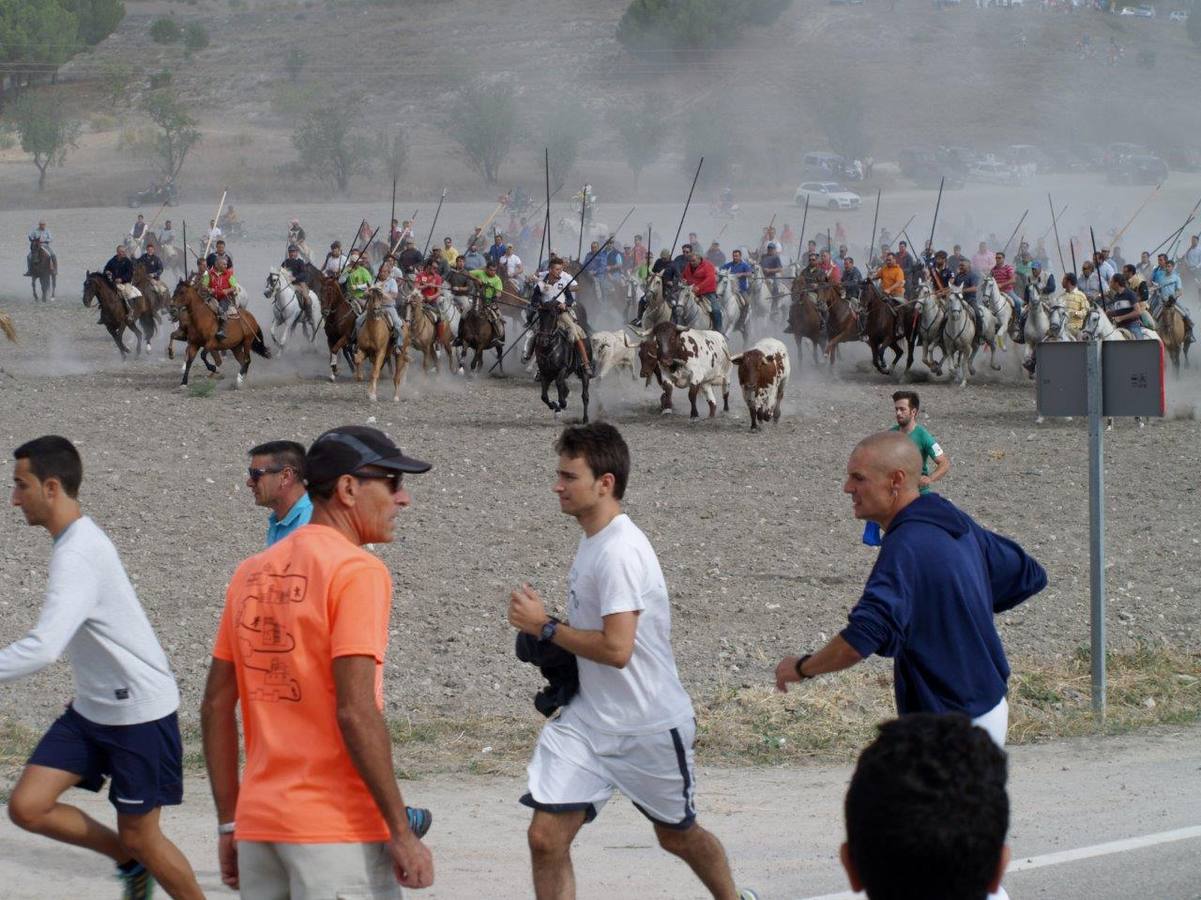 Segundo encierro campero de Íscar
