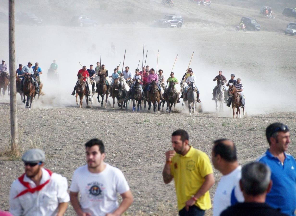 Segundo encierro campero de Íscar