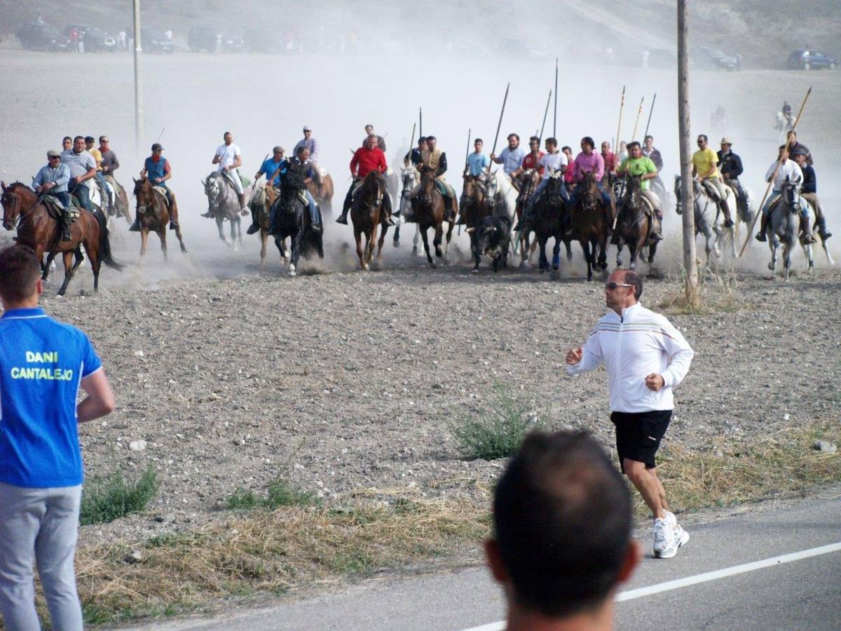 Segundo encierro campero de Íscar